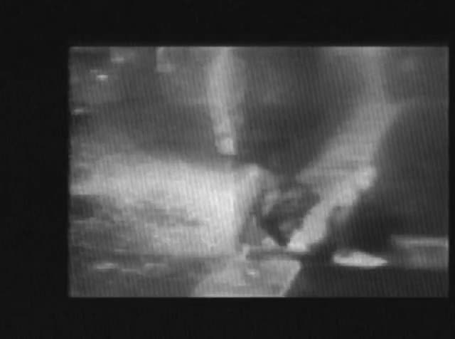 Still from Celebrated Summer by Matt Sesow