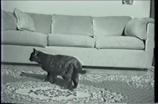 Still from Poster Boy