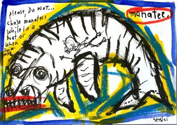 Manatee by Matt Sesow